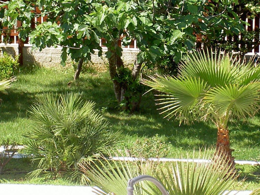 Hotel Baia del Sole Paestum Esterno foto